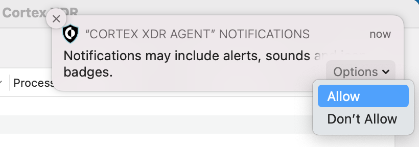 CortexMacOs_Install13.png